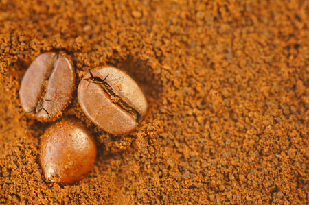 Three coffee beans on a brown background. Coffee beans on ground coffee. Macro magnification of coffee beans in daylight.の写真素材