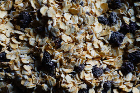 Oatmeal with raisins, cinnamon and milk. Food for athletes, vegetarians and dieters.の写真素材