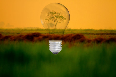 light bulb with protect nature idea