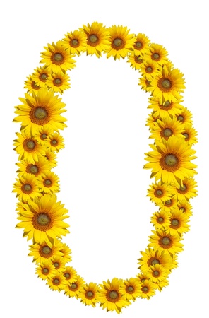 Number 0, Sunflower isolate on White background , Sunflower isolate on White backgroundの写真素材