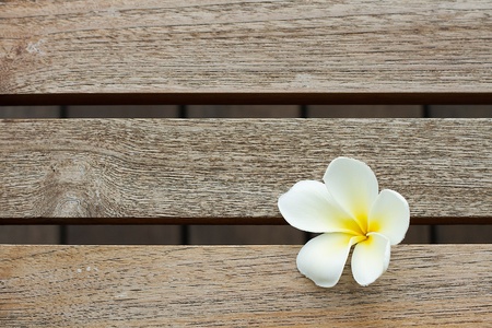 White Flower on Wood Patternの写真素材