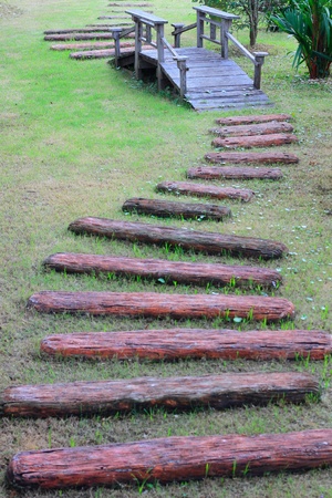 Wood way to wood Bridgeの写真素材