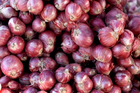 pattern red onions in marketの写真素材