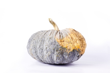 Asian Pumpkin on white backgroundの写真素材