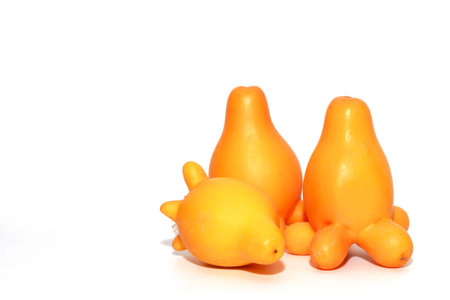 aubergine,solanum mammosum plant on white backgroundの写真素材