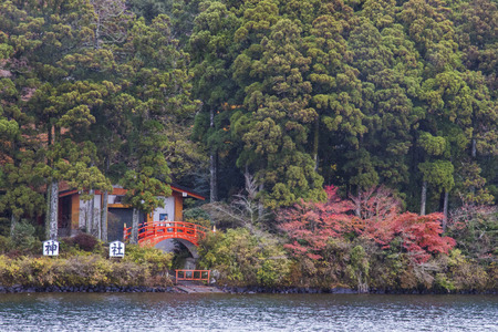 Hakone National Park, Japanのeditorial素材