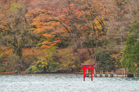Hakone National Park, Japanのeditorial素材