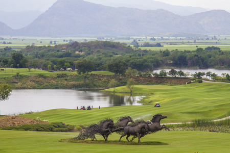 golf course landscapeの写真素材