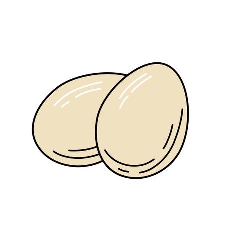 Eggs sketch. Vector illustration.のイラスト素材