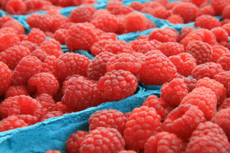 These are Organic Red Raspberries at the Farmers Market in boxes