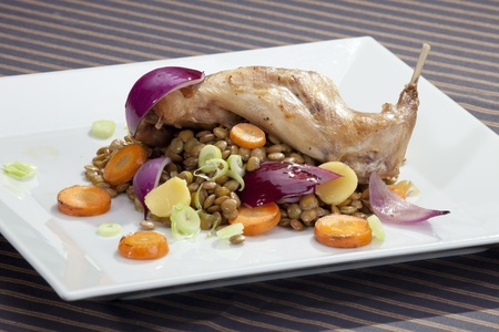 Baked rabbit leg with lentil and vegetable garnishの写真素材