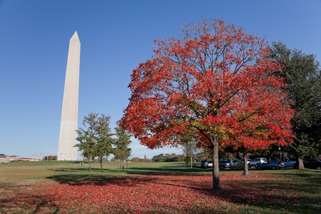 Washington Monument at Sunsetの写真素材