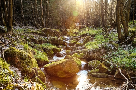 The river runs over boulders in the primeval forest - HDRの写真素材
