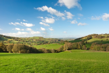 Large pastureland and woods in Walesの写真素材