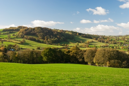 Large pastureland and woods in Walesの写真素材