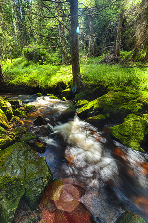River runs over boulders in the primeval forestの写真素材