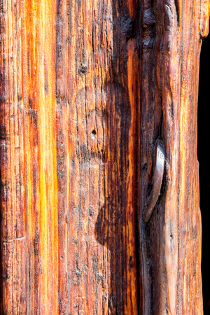 Old wood texture with the woodworm holesの写真素材