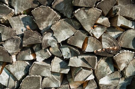 Old wood bark texture with the cleavageの写真素材