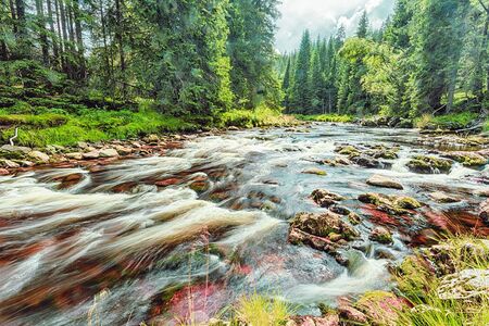 River fast runs over boulders in the primeval forestの写真素材