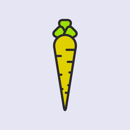 carrots icon.vector illustration.のイラスト素材