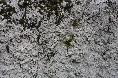 the surface of old concrete slab covered with mossの写真素材