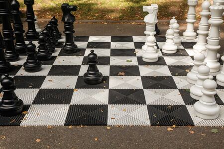 Large floor chess in autumn Parkの写真素材