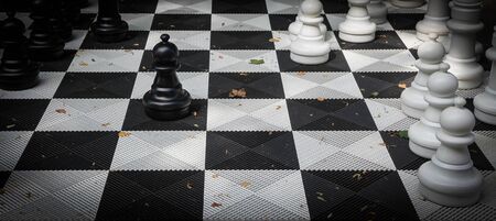 Large floor chess in autumn Parkの写真素材