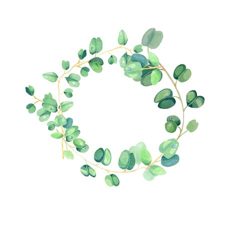 Eucalyptus watercolor botanical illustration for decorationの写真素材