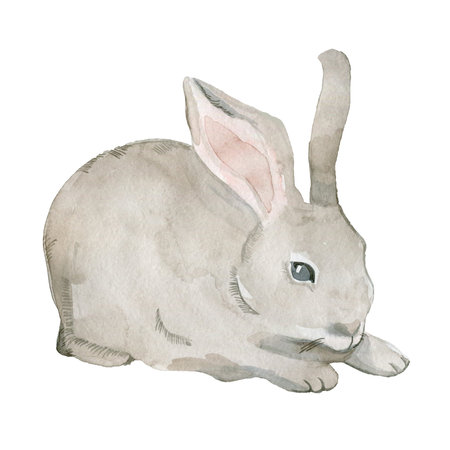 Easter bunny, gray tulips isolated on a white background. The eighth of March holiday, a place for...