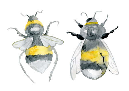 realistic small watercolor bees isolated on whiteの写真素材