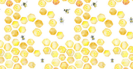 Baner for social media honey honeycomb bees flowers summer moodの写真素材