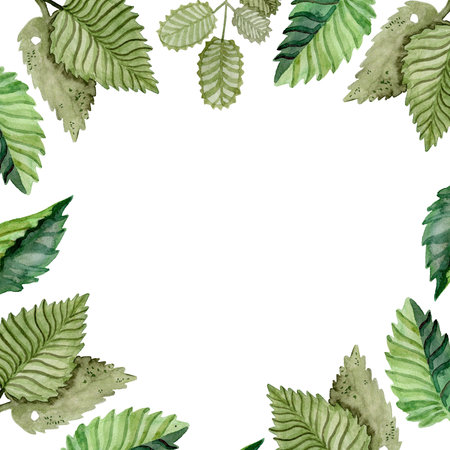 square frame of watercolor green leaves background for lettering