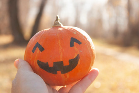 Carved halloween pumpkins on Farmers market. Many large Halloween Ghostride pumpkins. Scary Jack O Lantern. Orange pumpkin head jack lantern.の写真素材