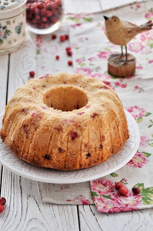 The dish is a cake with lemon and cranberriesの写真素材