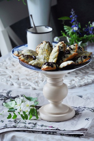 "Madeleine" biscuit cake with poppy seeds. Spring Still Lifeの写真素材