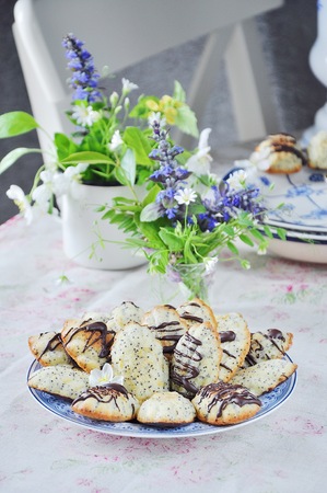 "Madeleine" biscuit cake with poppy seeds. Spring Still Lifeの写真素材