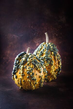 Decorative pumpkins, pimples, pumpkins for the interiorの写真素材
