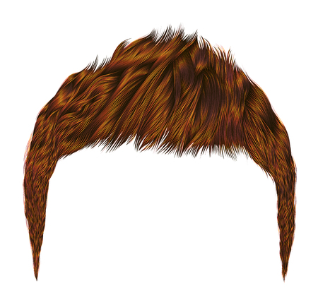 Trendy man hairs.red ginger redhead 
.beauty style.realistic 3d.のイラスト素材