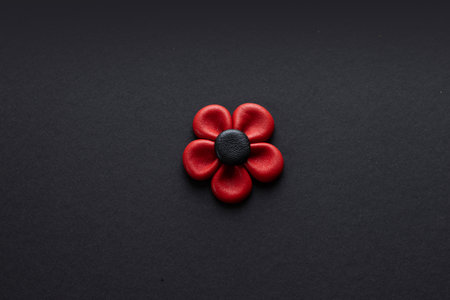 Red natural leather flower with black center on dark background. High quality photoの写真素材