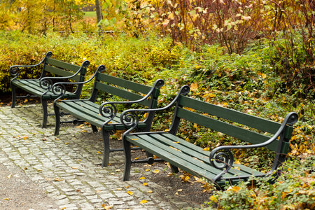 Three green benches with black metal armrests in a park . High quality photoの写真素材