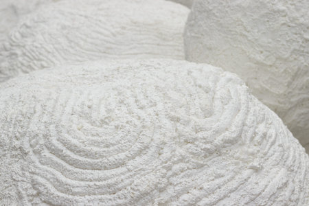 Decorative white relief with circular ornaments