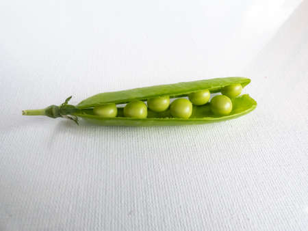 Green peas in pod isolated on white background in bright sunlight. Beautiful and detailed botanic backgroundの写真素材