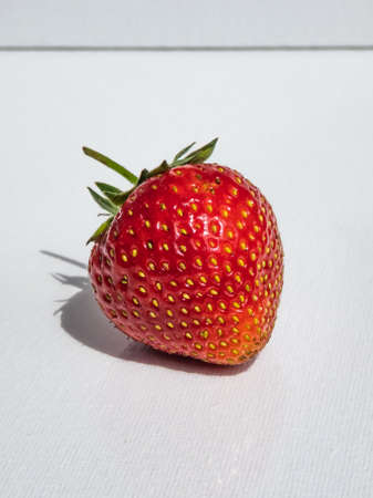 Fresh and ripe strawberry on a white, isolated background in bright sunlight with a shadow. Beautiful and detailed botanic background. Verticalの写真素材