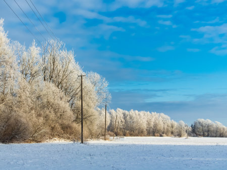 Beautiful and inspiring winter landscape of snowy field and trees covered with frost with blue sky and grey clouds on sunny dayの写真素材
