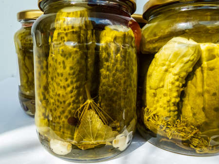 Macro of canned and preserved fresh homemade pickles (cucumbers) in glass jars that has been pickled in a brine, vinegar, spices, garlic, dill stems in sunlight with white backgroundの写真素材