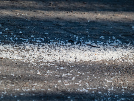 Macro shot of big, white salt grains on icy sidewalk surface in the winter in sunlight. Applying...