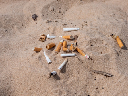 Pile of cigarette butts in the beach sand collected while cleaning on Baltic sea beach as toxic plastic pollution. Most littered item in the world. Plogging, environmental protectionの写真素材