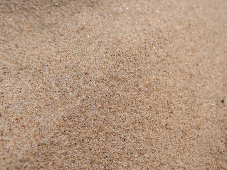 Macro shot of yellow, fine sand on sunny Baltic sea beach. Sand grains in sunlight. Textured nature...