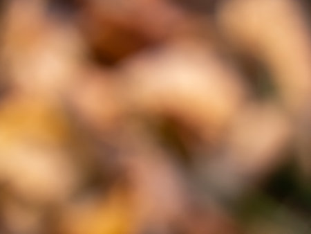 Yellow, orange and brown background with purposely blurred effectの写真素材