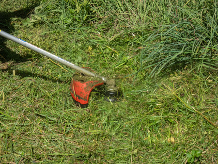 View of a string trimmer used by a man to cut and mow long, green grass outdoors in summer. Lawn...